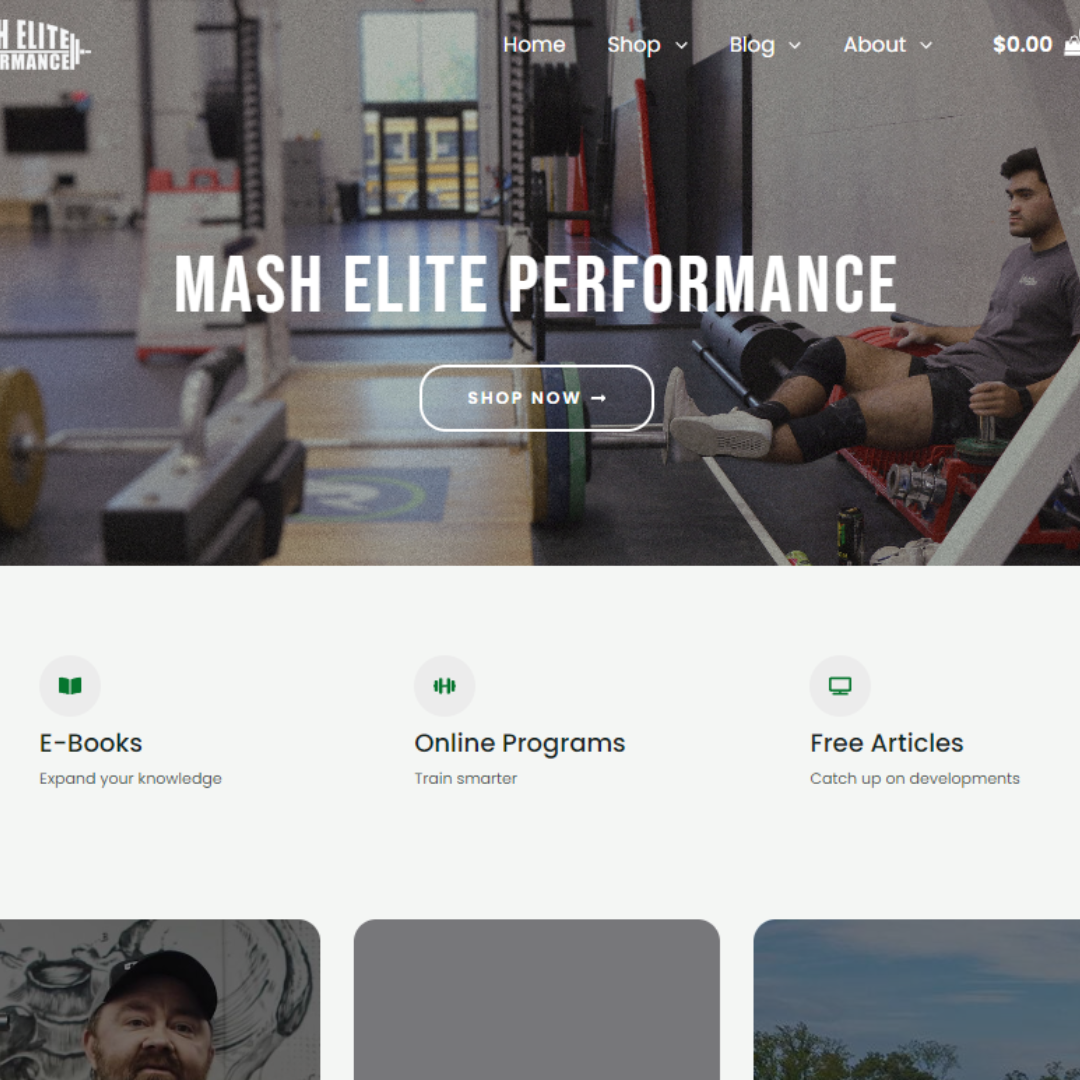 Mash Elite project screenshot